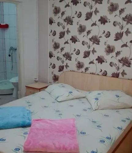 Pensjonat Emy Konstanca