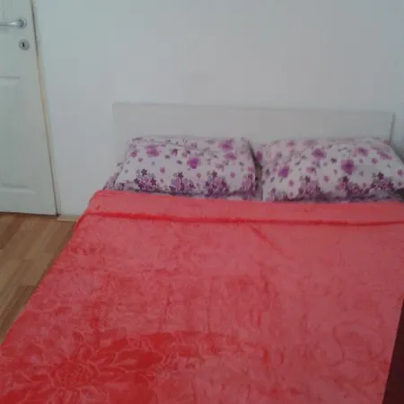 Guest house Vila Emy Constanta